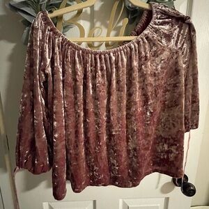 American Eagle Outfitters Velvet Blouse in Dusty Rose
